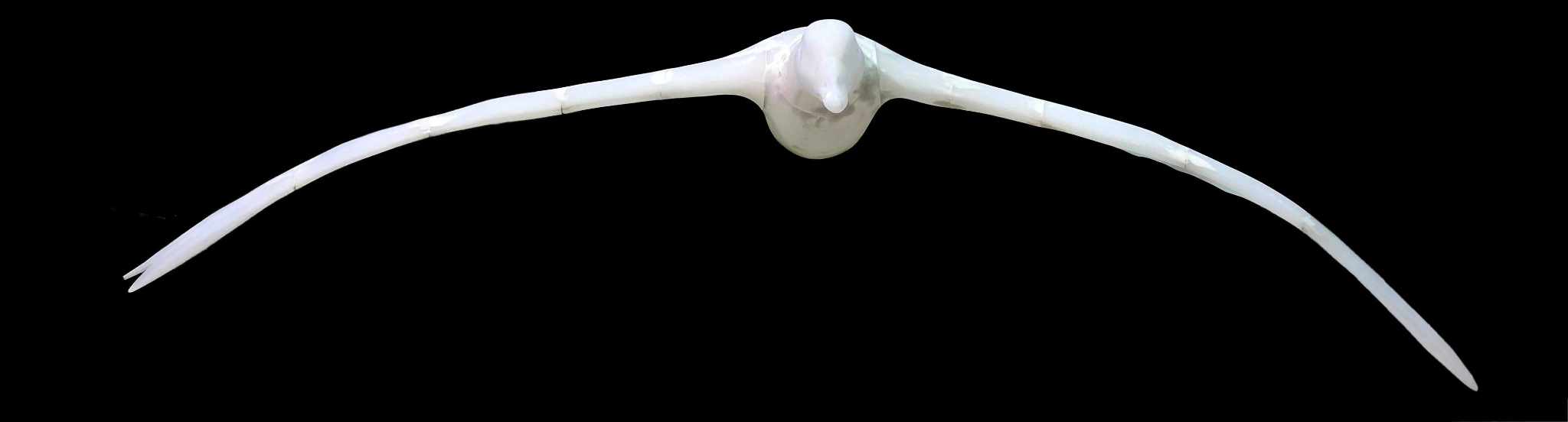 Gänseschwarm • Flock of geese • Anserinae - Spannweite 120 cm 