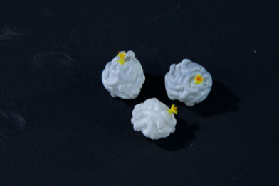 Serpulidae • Serpulidae • Glomerula sp. – natural size