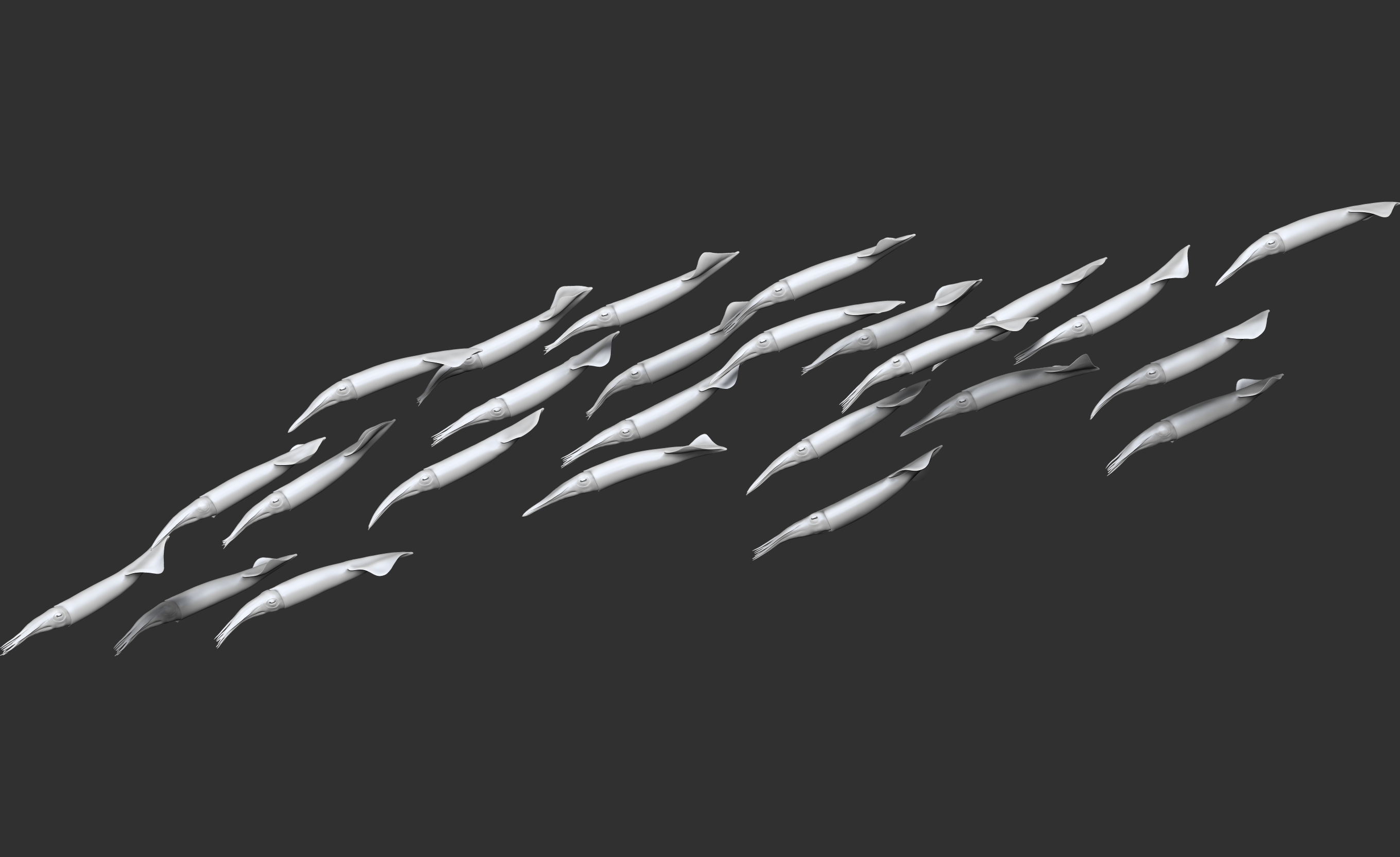 Kalmarschwarm • Squids • Doryteuthis gahi &nbsp;- 35 cm 