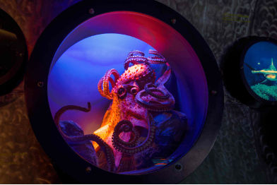 Riesenkrake • Giant octopus • Enteroctopus - 150 cm