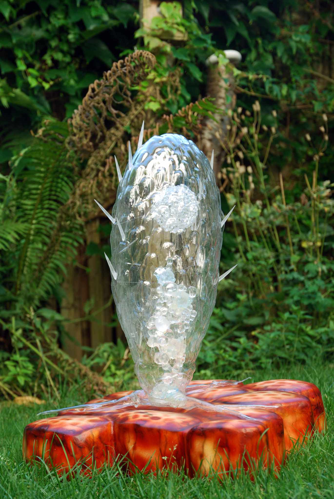 Schalenamöbe • Thecamoebe • Thecamoebe - 40 cm 